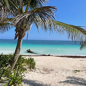 https://casa-phoenix.tulum-hotels.net