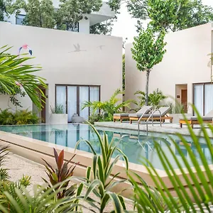 https://faisano-nomadas.tulum-hotels.net